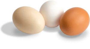 Read more about the article Are Eggs Healthy?